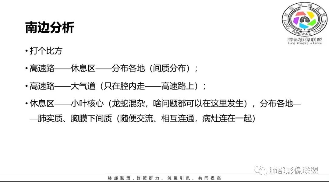 【PPT】病毒肺炎影像机制探讨