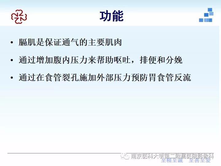 【PPT】膈肌的解剖及病变