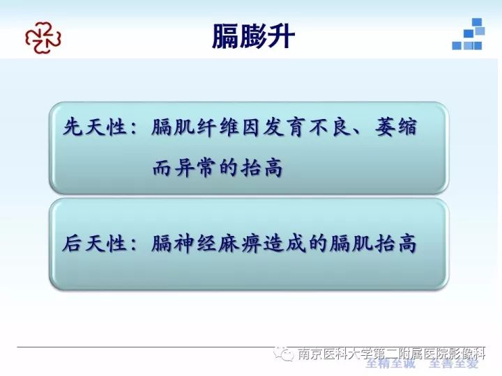【PPT】膈肌的解剖及病变