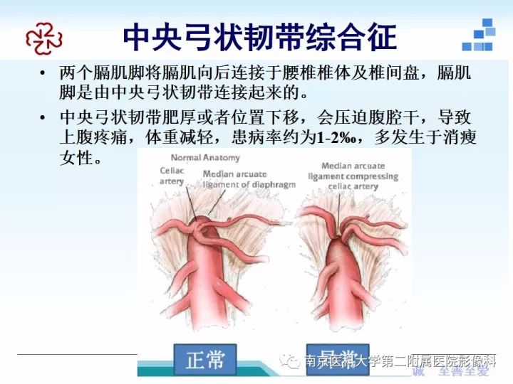 【PPT】膈肌的解剖及病变