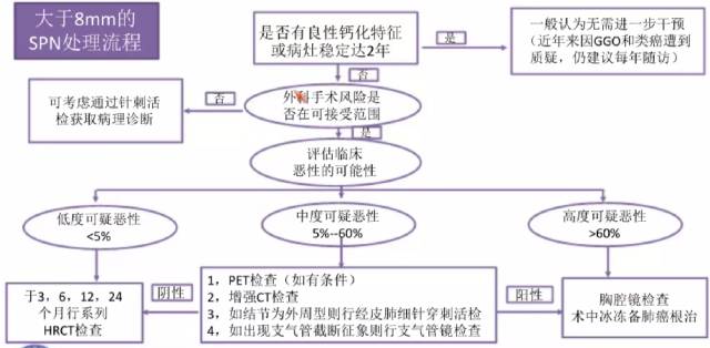 肺内孤立性结节高危CT征象