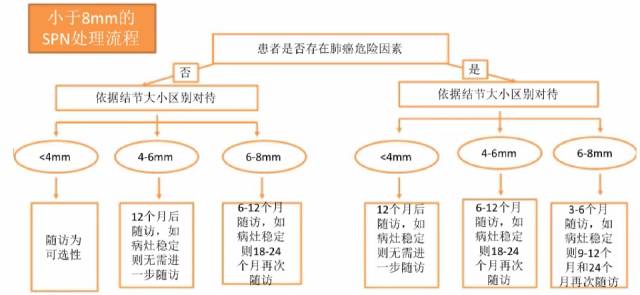 肺内孤立性结节高危CT征象