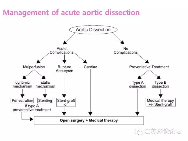 【PPT】急诊室经常遇到的急性主动脉疾病