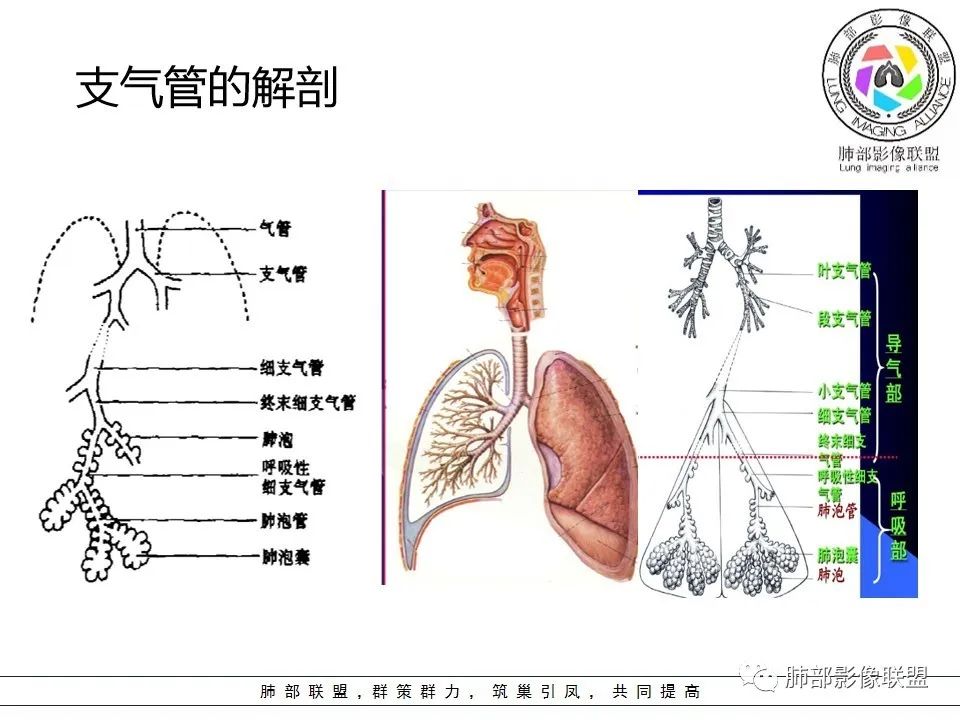 【PPT】如何快速掌握新冠肺炎（NCP）的影像识别？