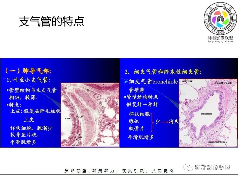【PPT】如何快速掌握新冠肺炎（NCP）的影像识别？