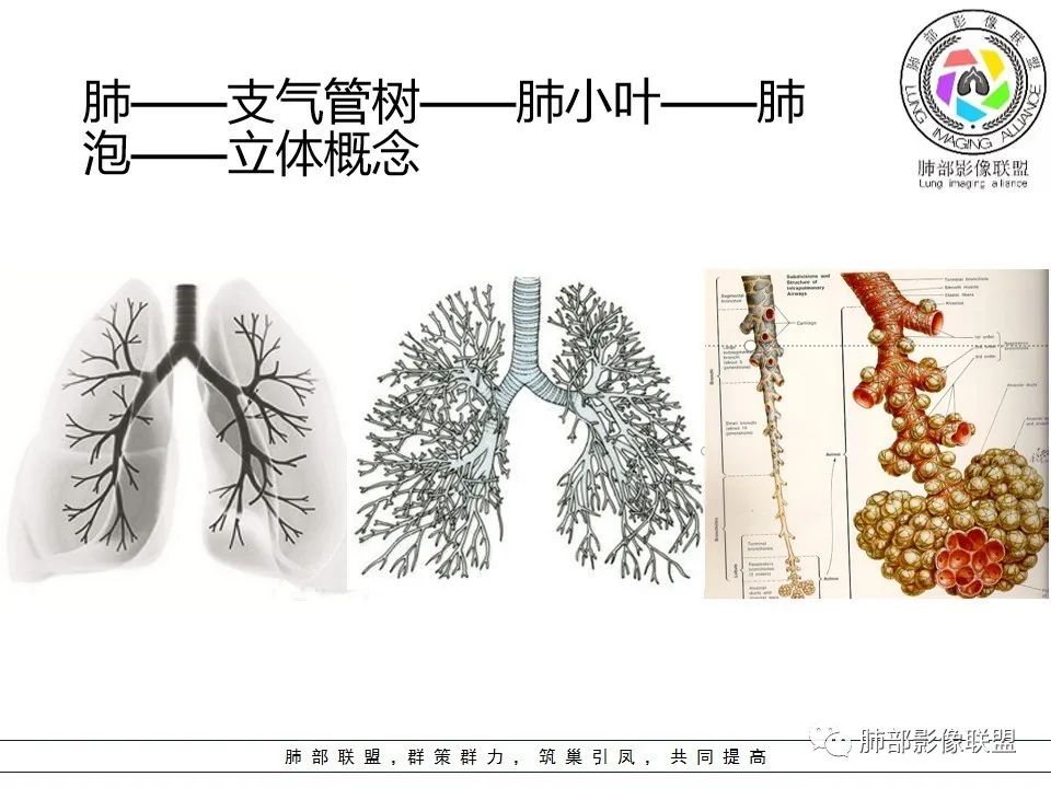 【PPT】如何快速掌握新冠肺炎（NCP）的影像识别？