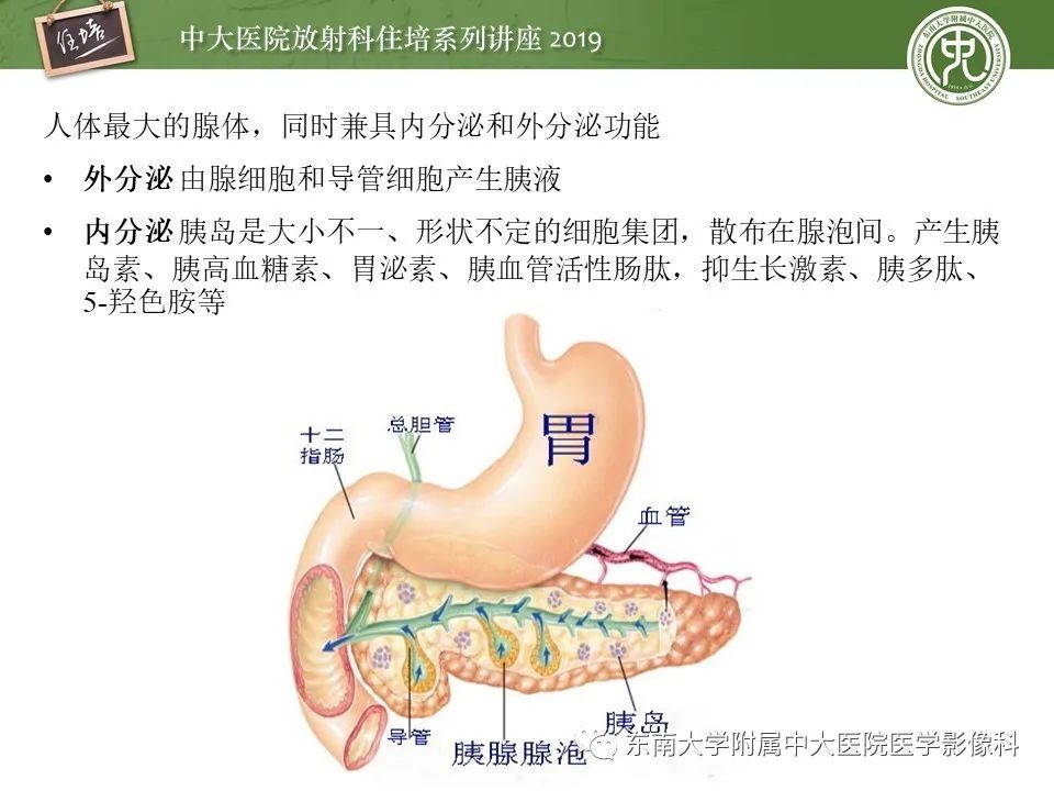 【PPT】胰腺炎的影像评估
