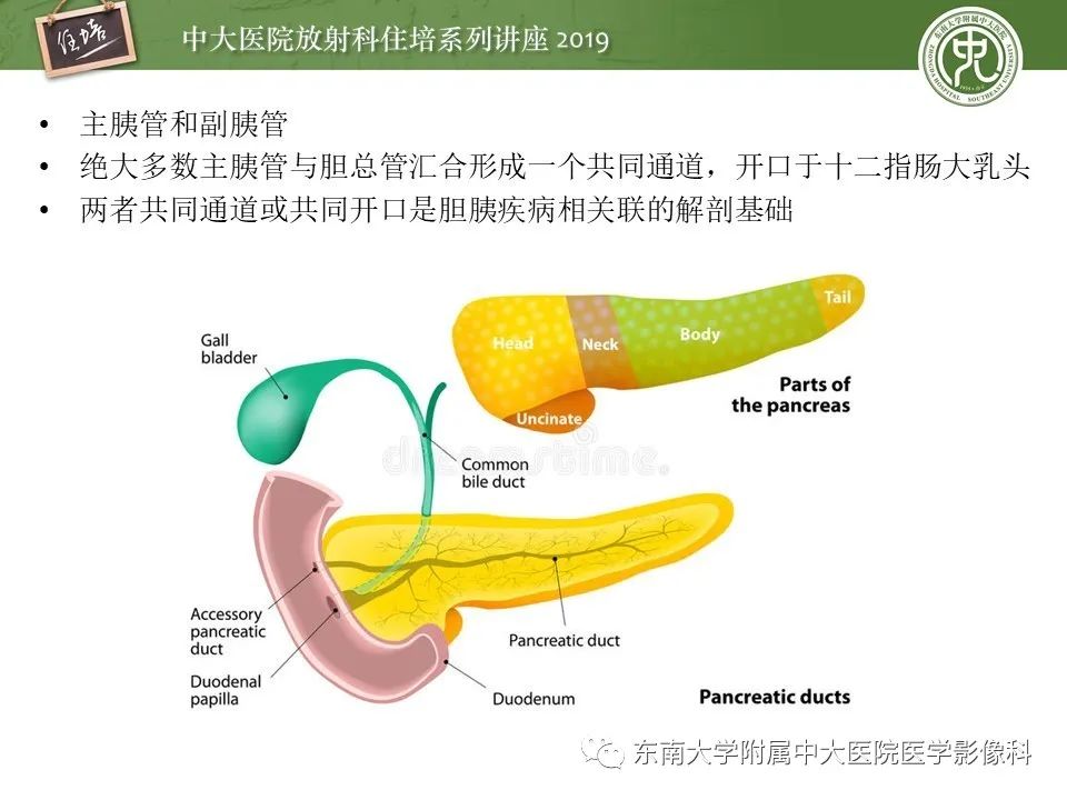 【PPT】胰腺炎的影像评估