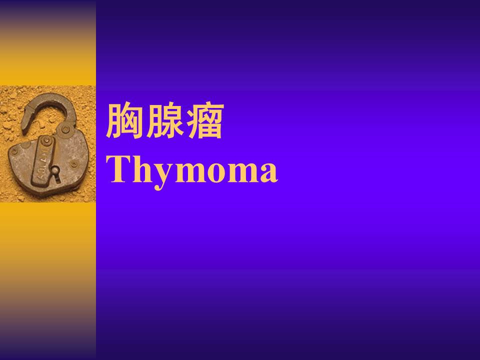 幻灯片13