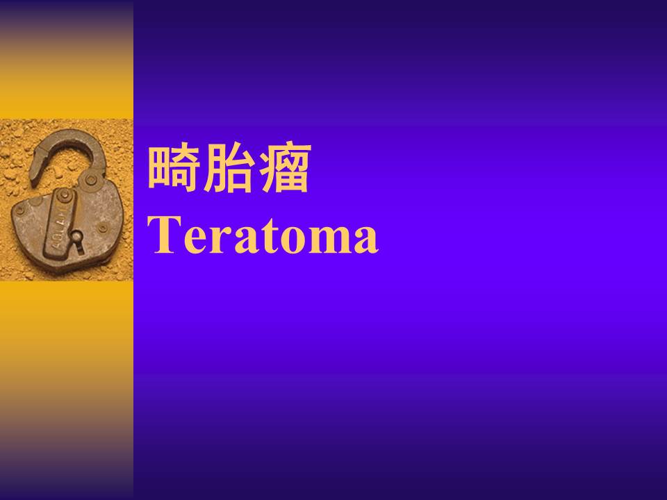 幻灯片29