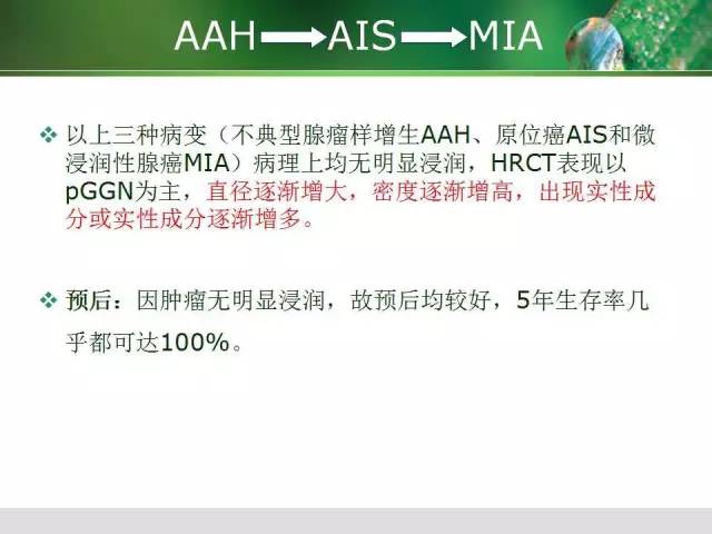 【PPT】肺磨玻璃密度阴影(GGO) 的CT诊断与处理