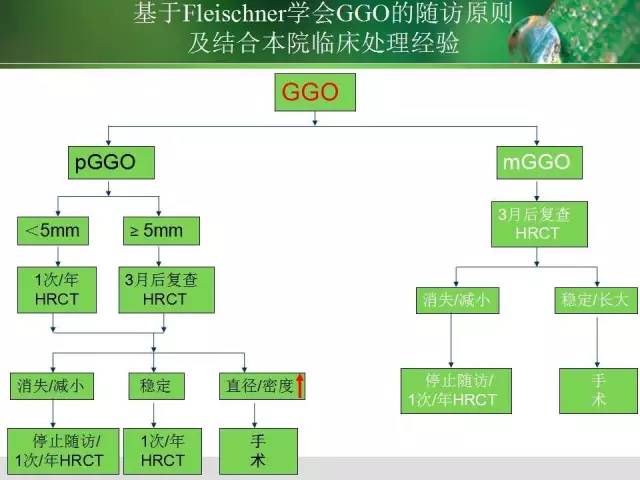 【PPT】肺磨玻璃密度阴影(GGO) 的CT诊断与处理