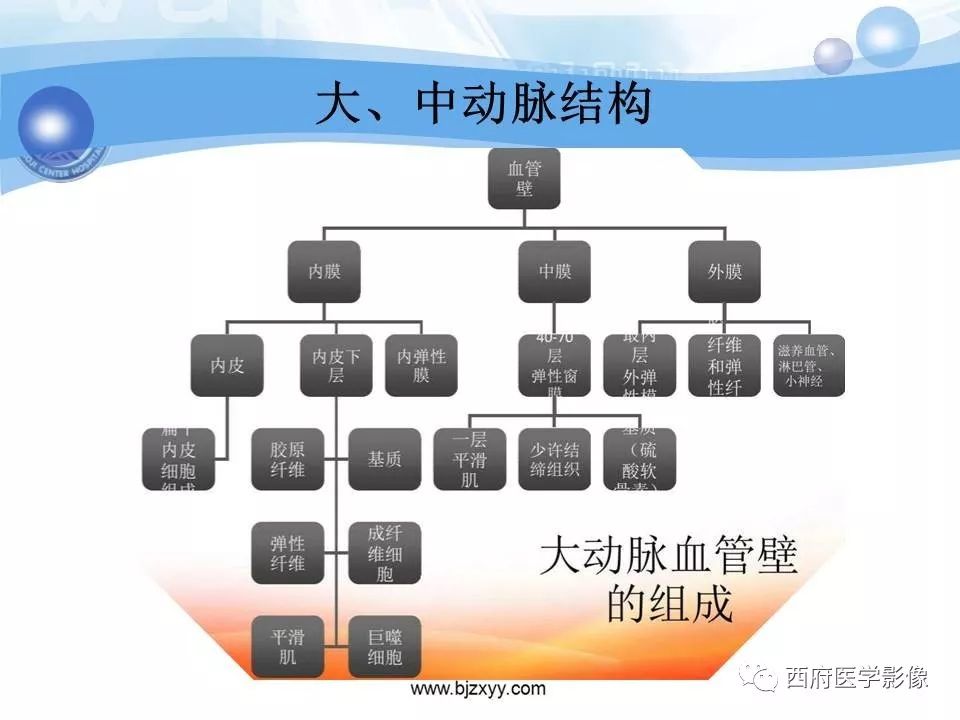 【PPT】主动脉壁间血肿的CT诊断