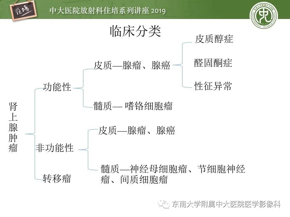 【PPT】肾上腺病变临床与影像思路分析