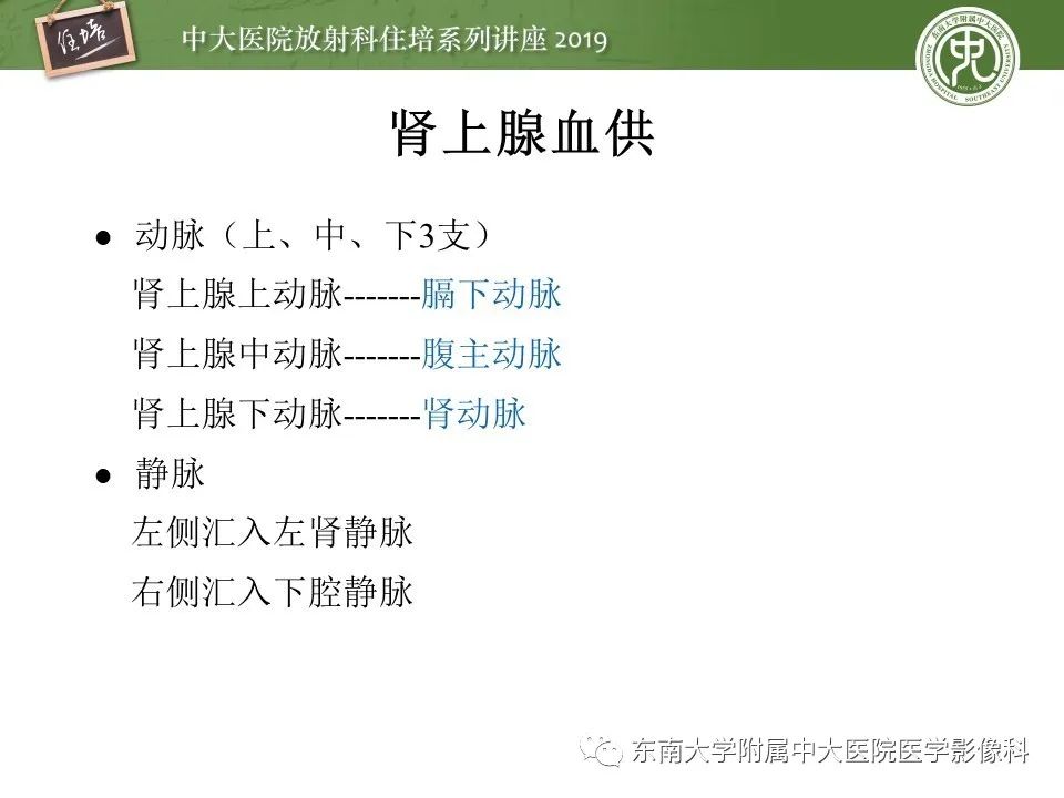【PPT】肾上腺病变临床与影像思路分析