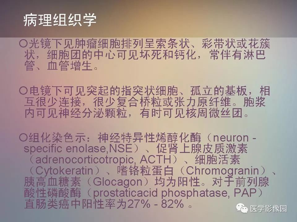 【PPT】胸腺类癌CT诊断与鉴别诊断