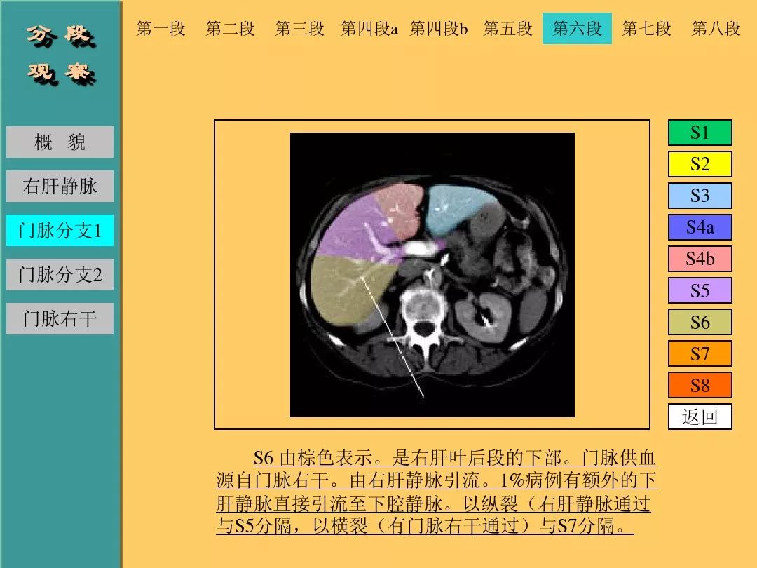 肝脏CT断层解剖详解