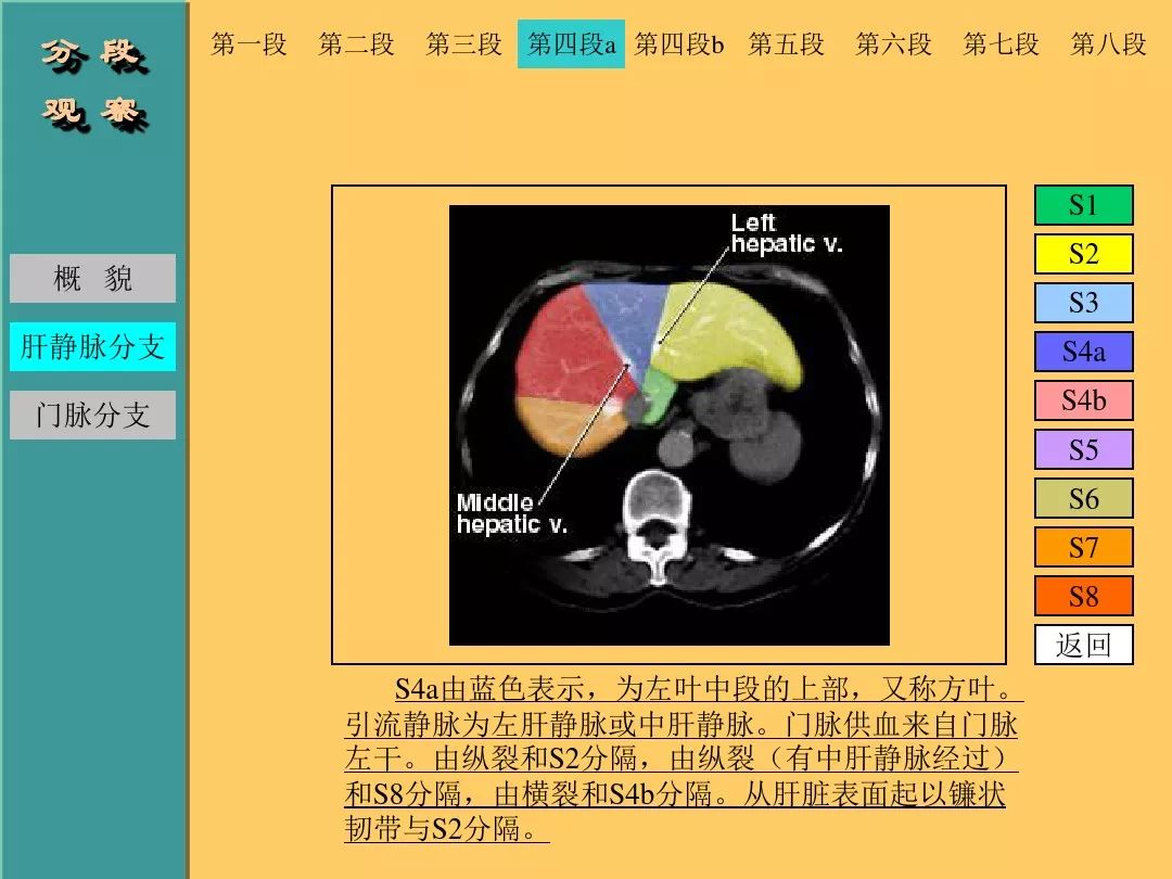 肝脏CT断层解剖详解