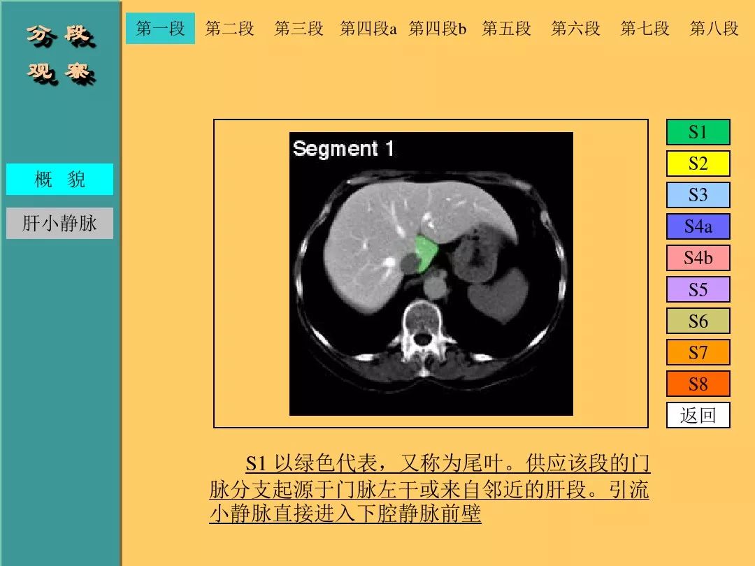 肝脏CT断层解剖详解