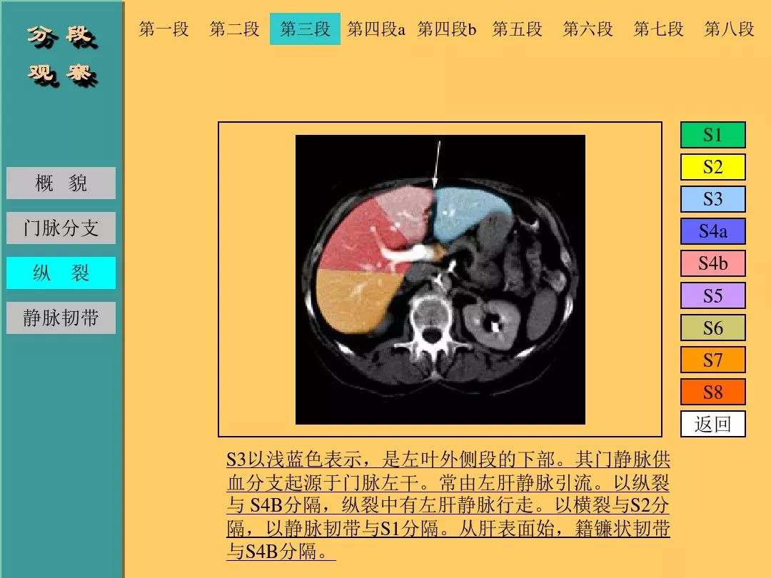 肝脏CT断层解剖详解