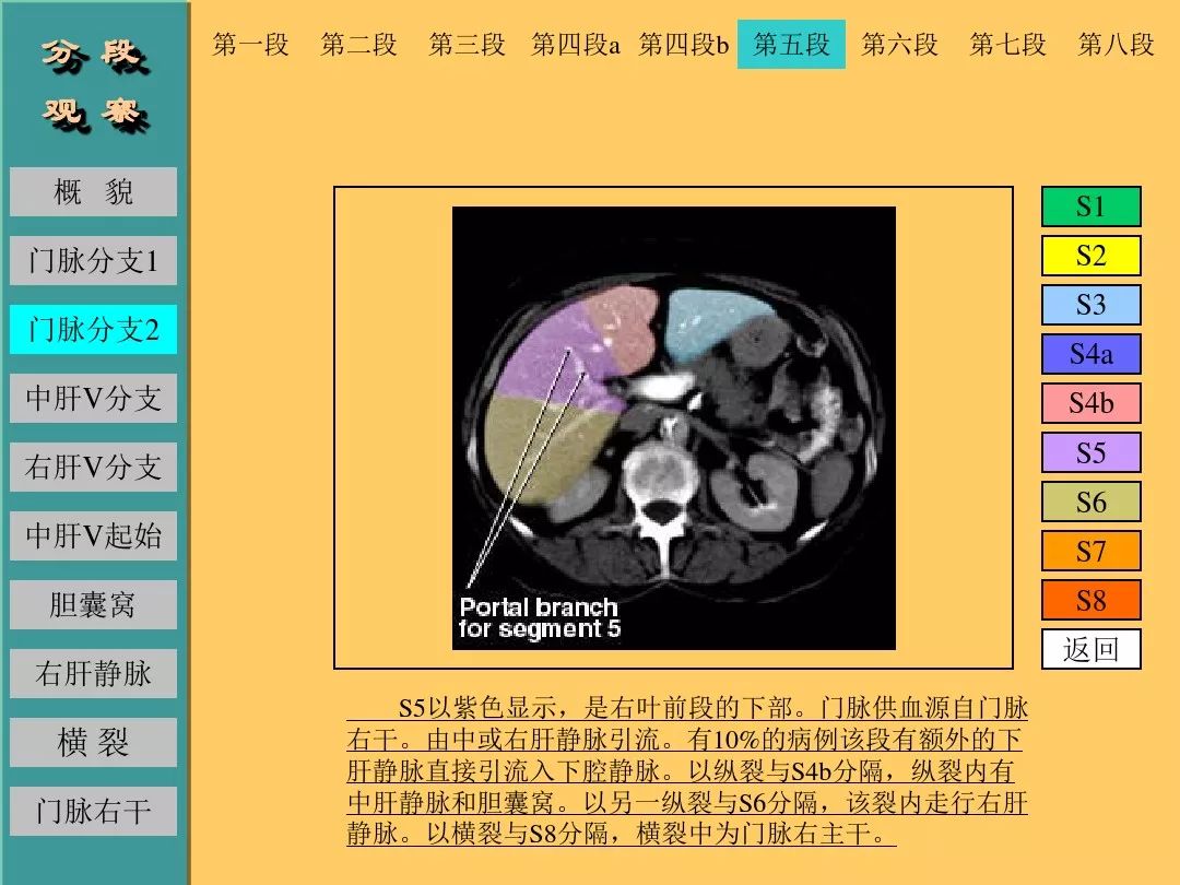 肝脏CT断层解剖详解