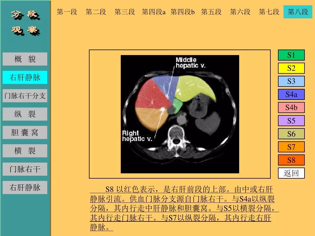 肝脏CT断层解剖详解