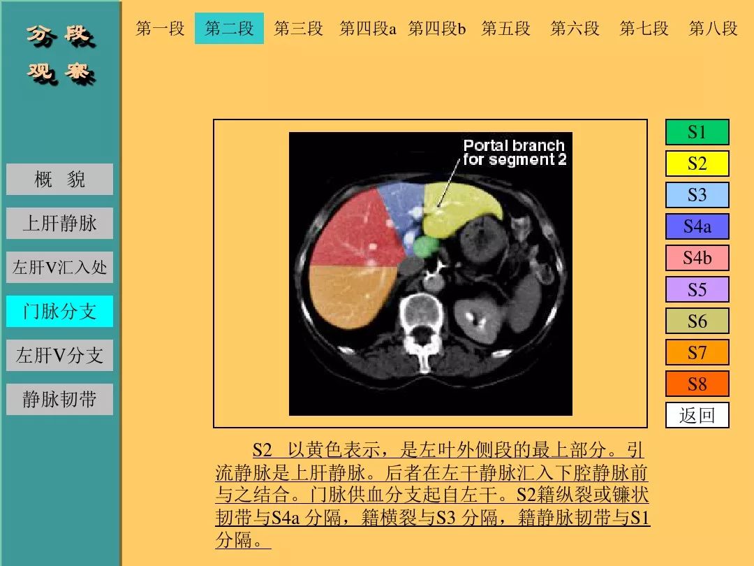 肝脏CT断层解剖详解