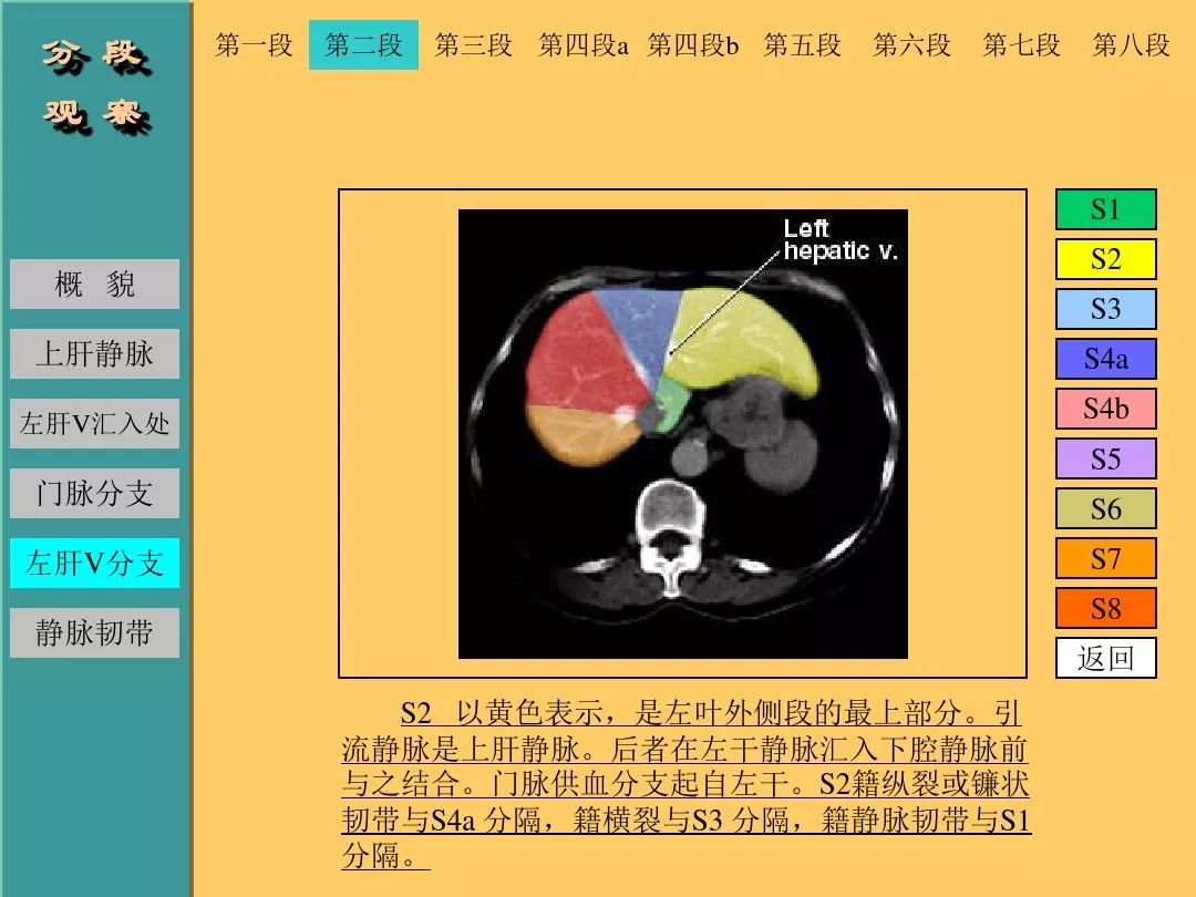 肝脏CT断层解剖详解