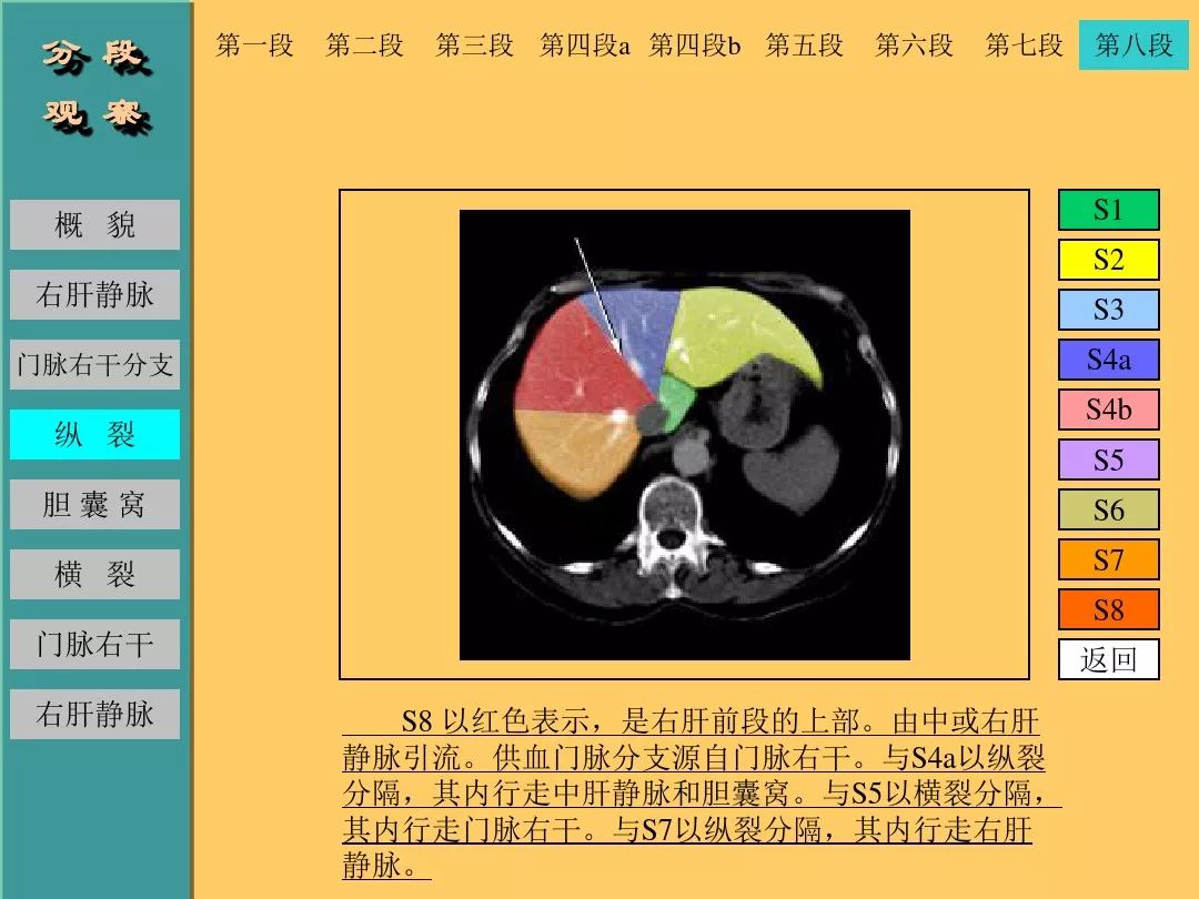 肝脏CT断层解剖详解