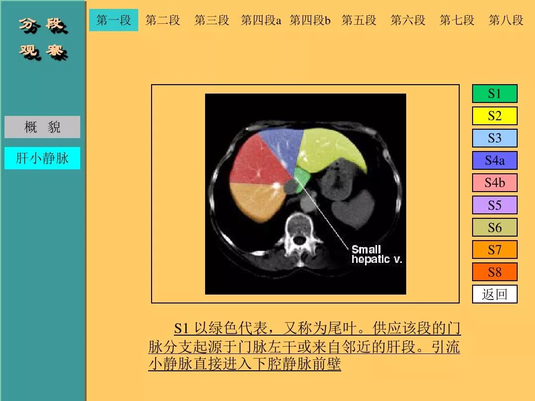 肝脏CT断层解剖详解