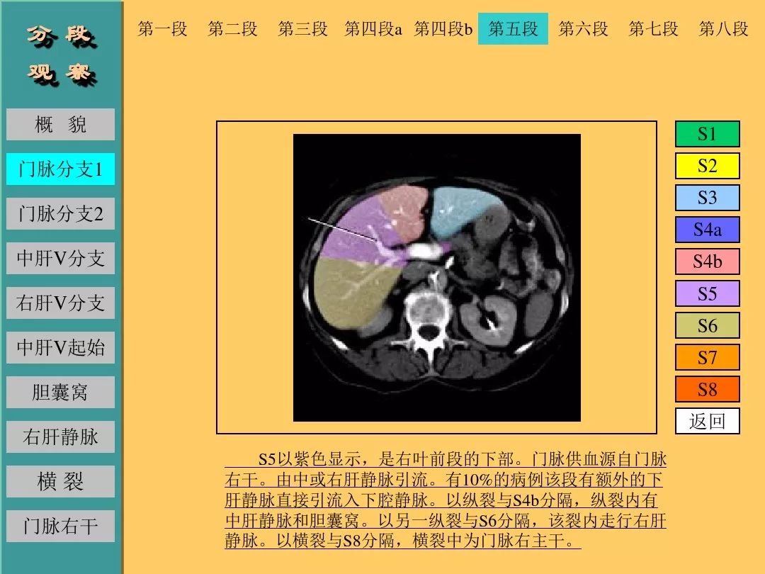 肝脏CT断层解剖详解