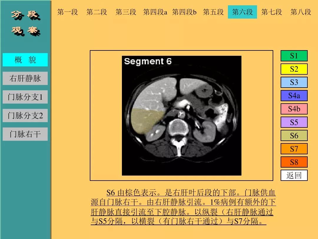 肝脏CT断层解剖详解
