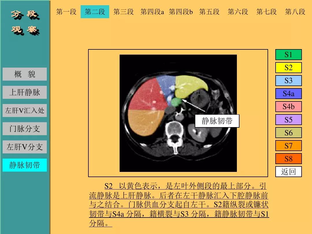 肝脏CT断层解剖详解