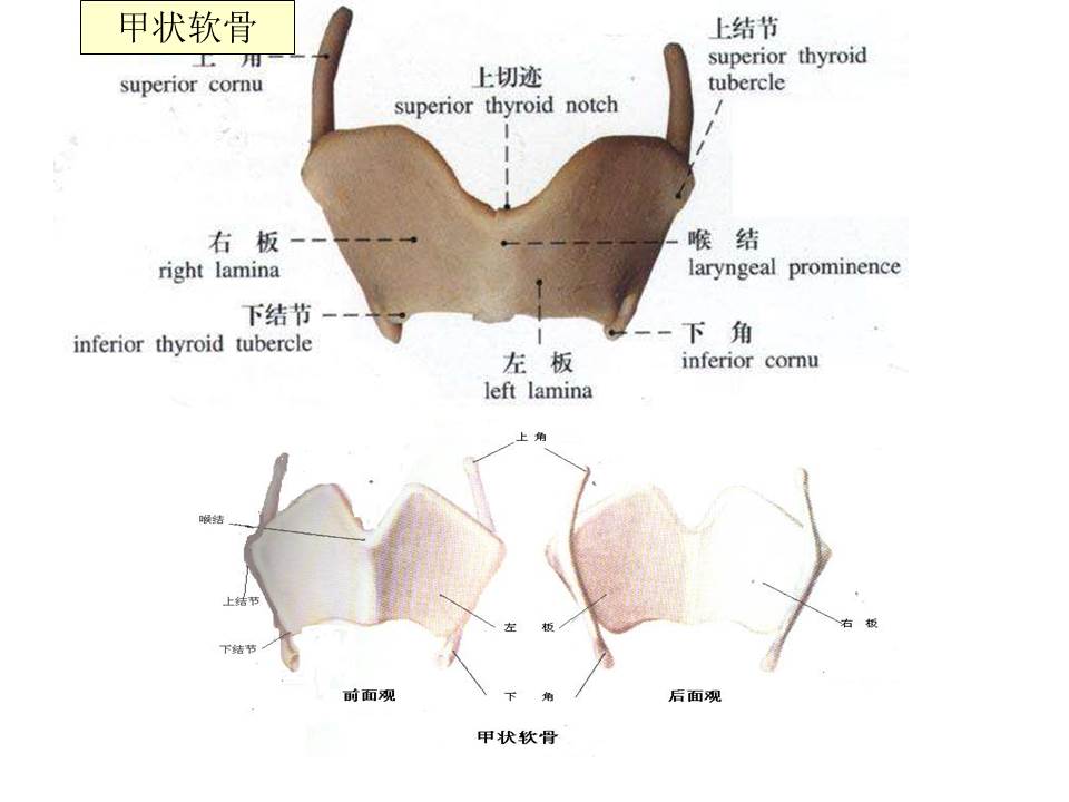 幻灯片26