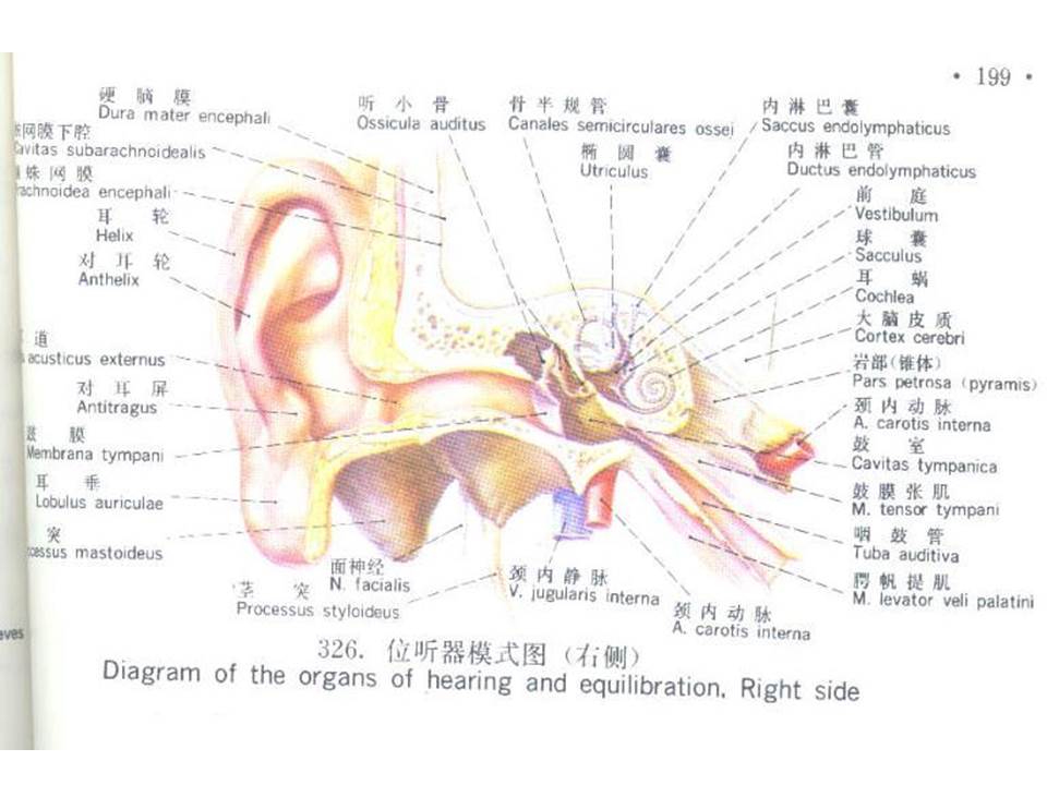 幻灯片55