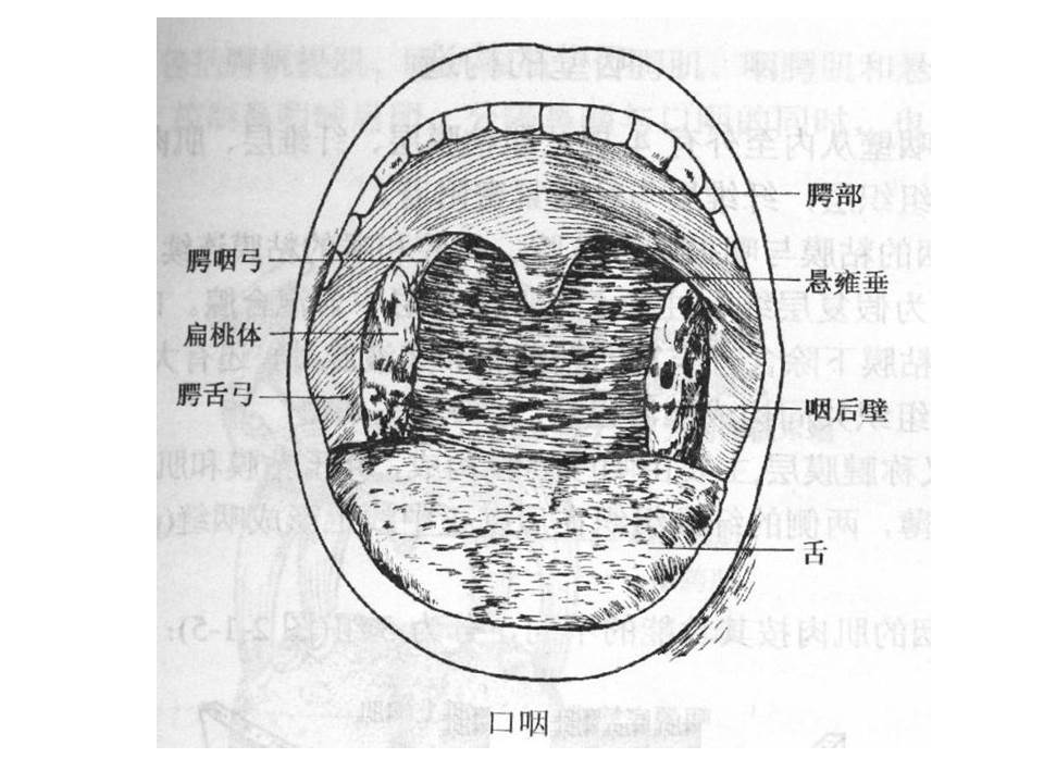 幻灯片22
