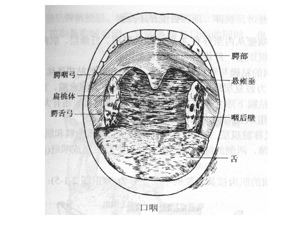 幻灯片22