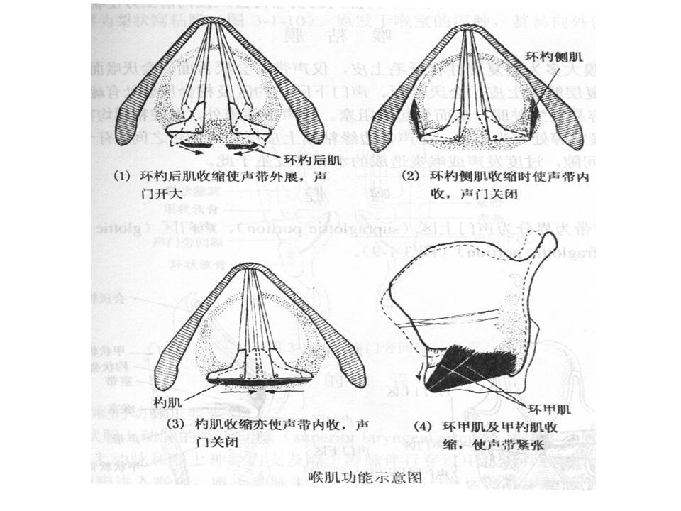 幻灯片35