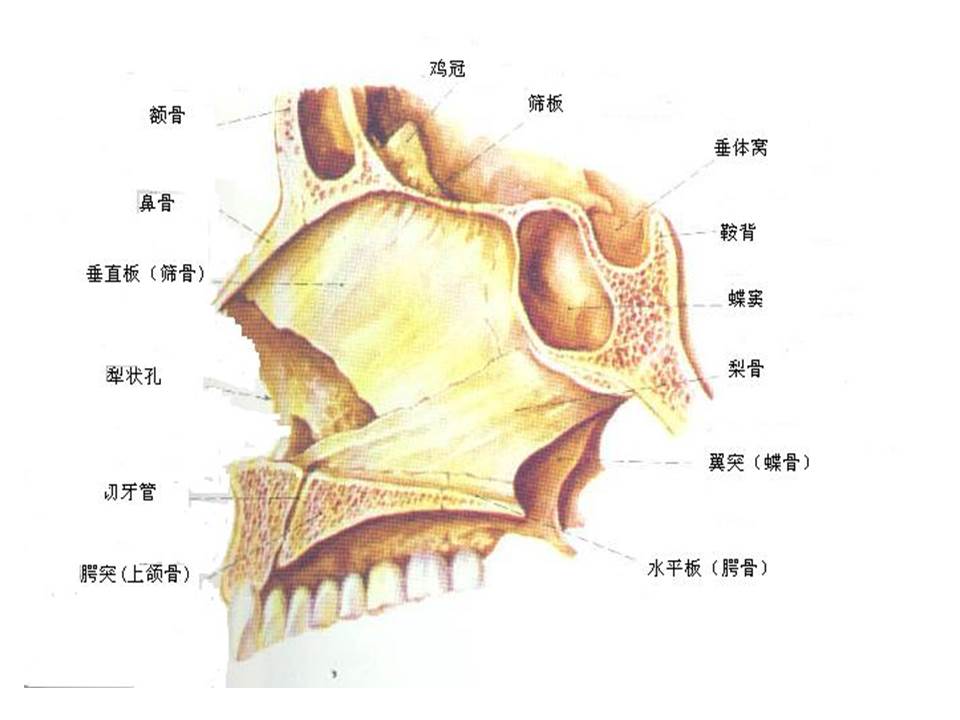 幻灯片8