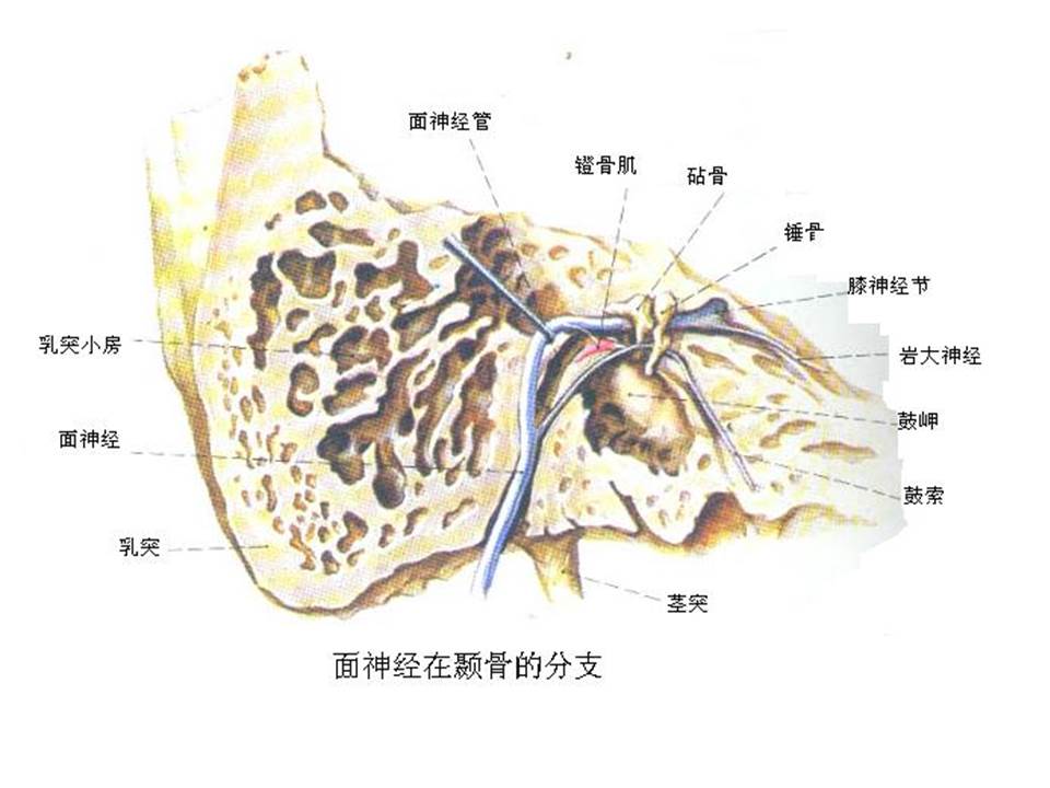 幻灯片65