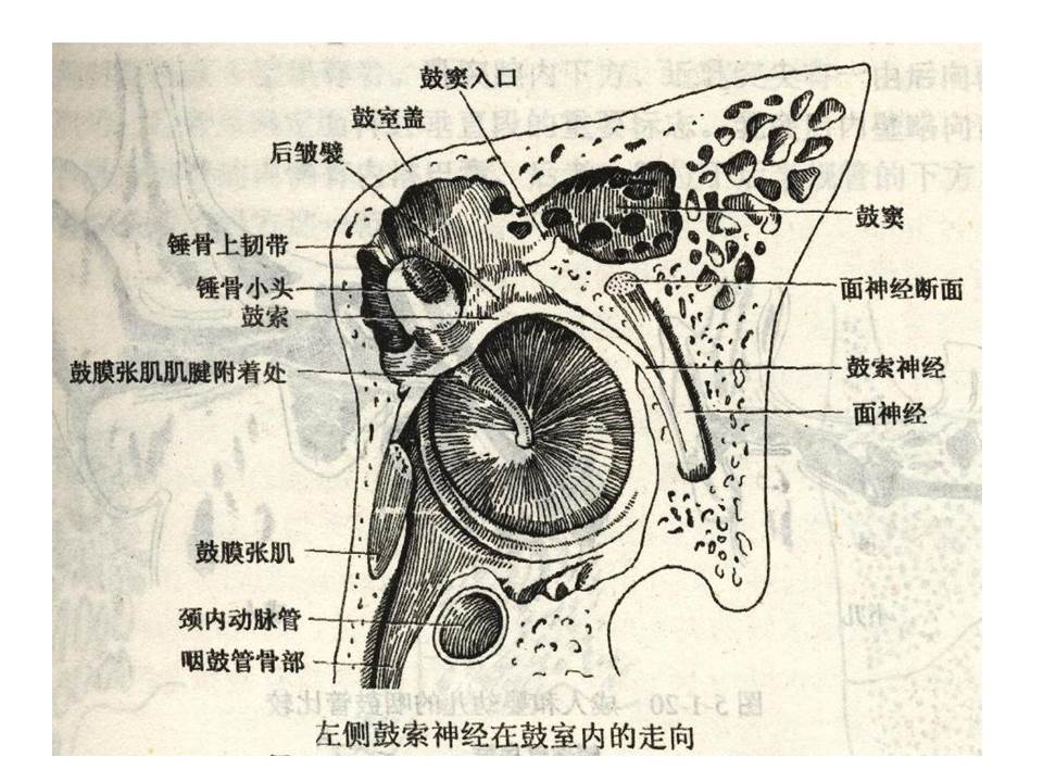 幻灯片63