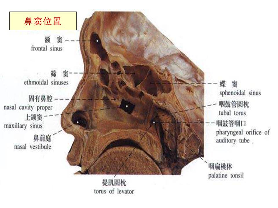 幻灯片16