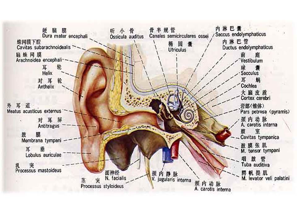 幻灯片40