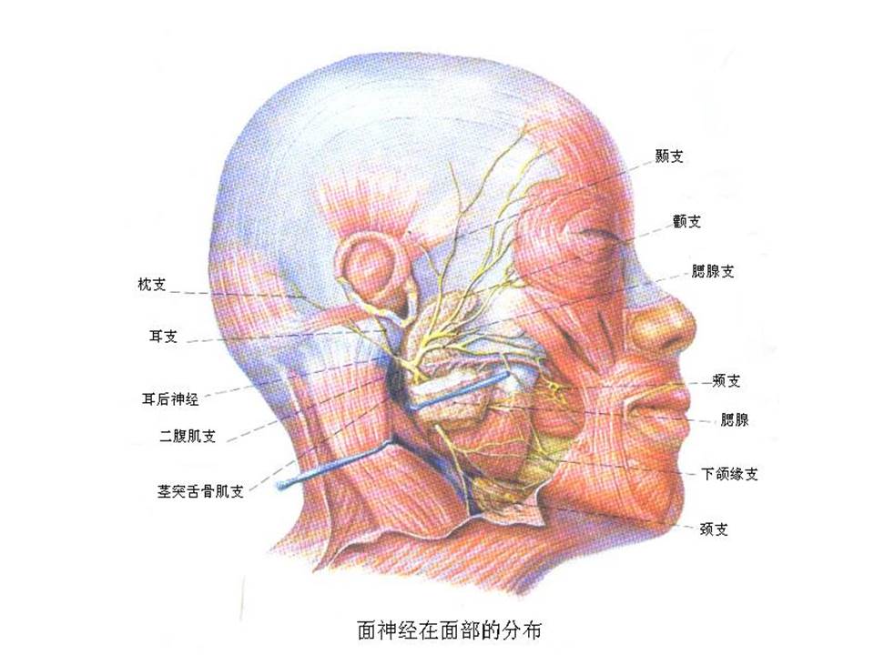 幻灯片64