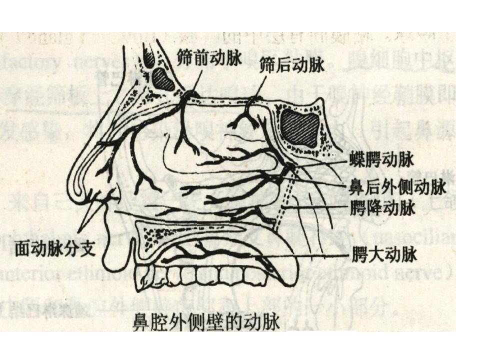 幻灯片10