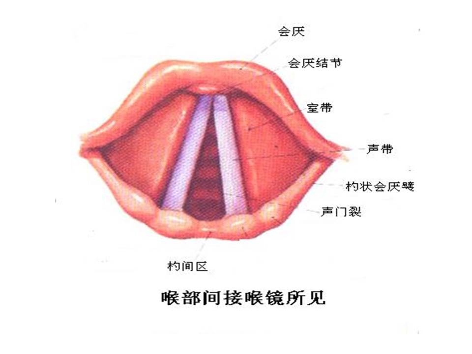 幻灯片36