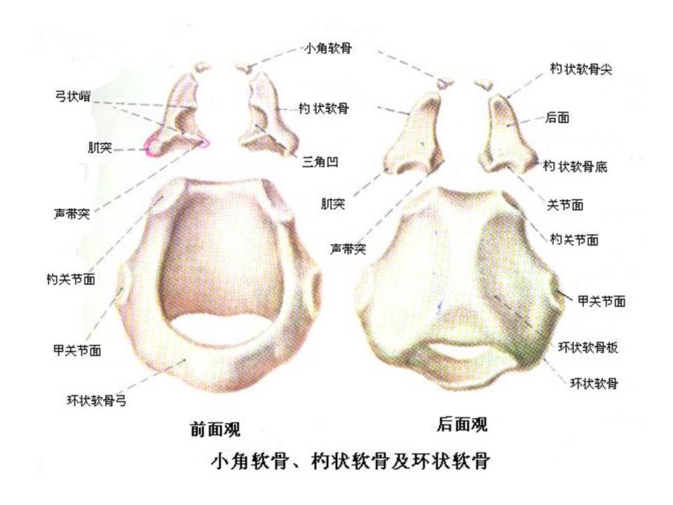 幻灯片27