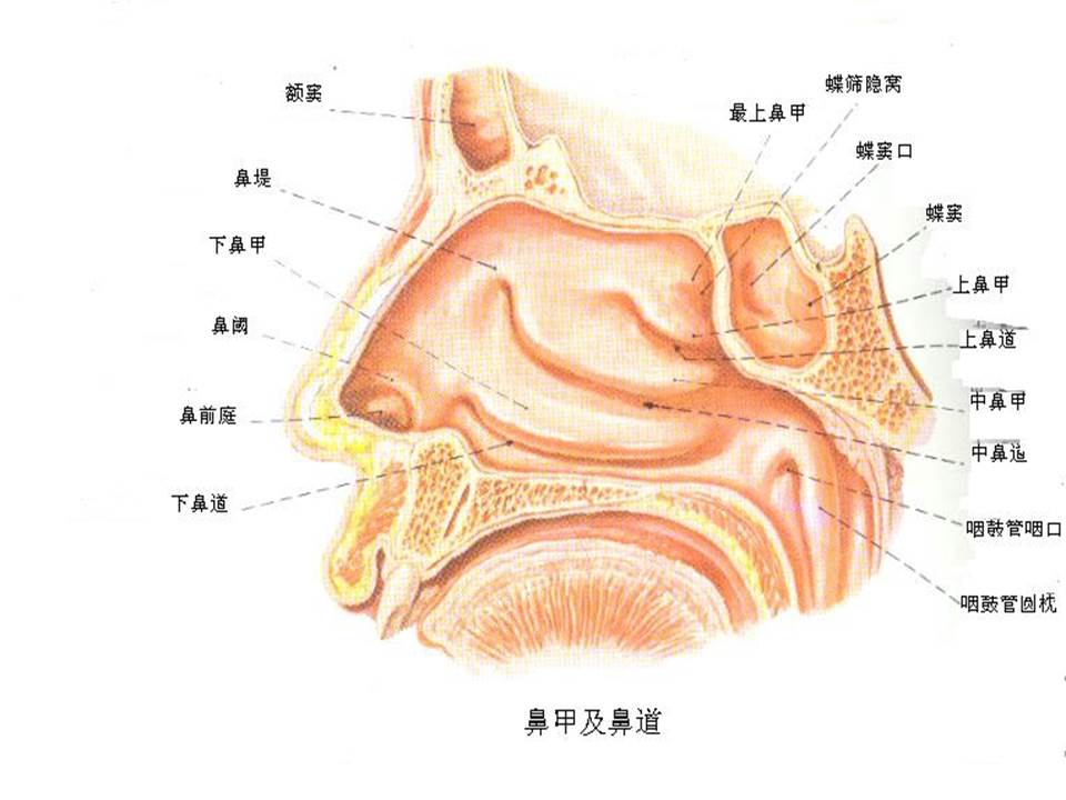 幻灯片12