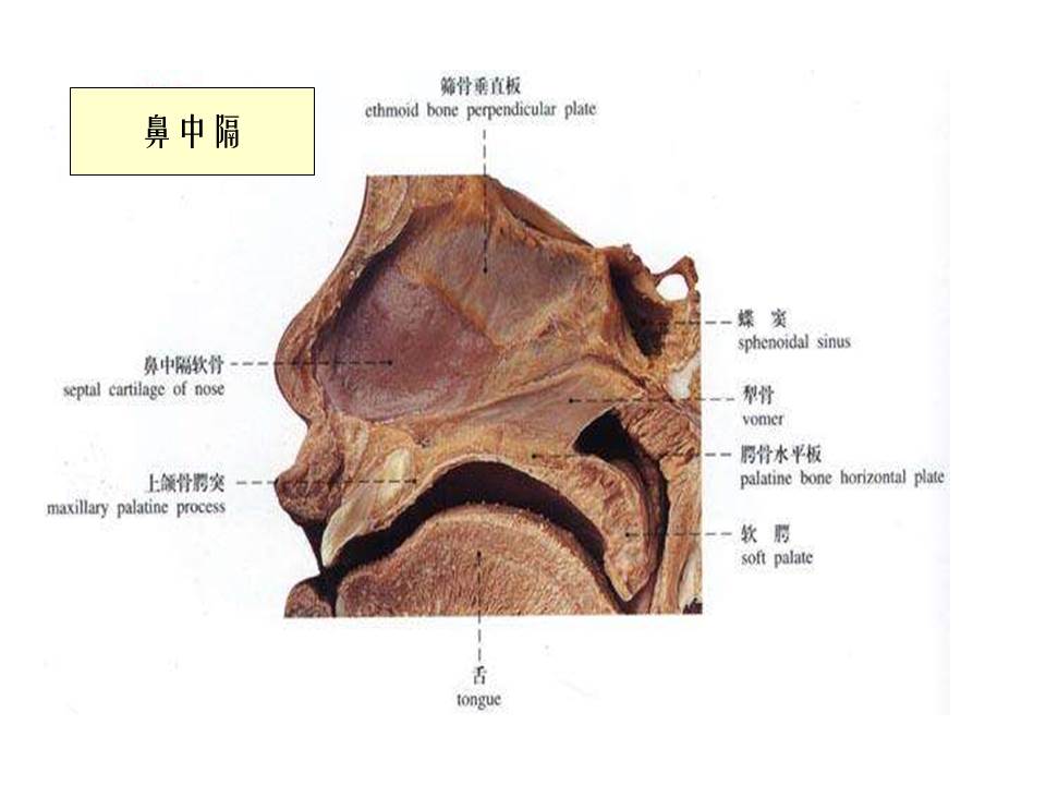 幻灯片7