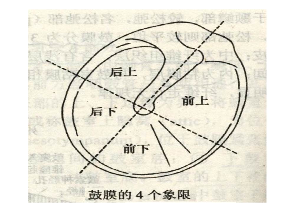 幻灯片44